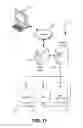 Fig. 12 - Predictive transmission of digital content