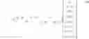 Fig. 28 - Codebook design and structure for advanced wireless communication systems