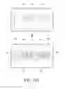 Fig. 17 - METHOD, STORAGE MEDIUM, AND ELECTRONIC DEVICE FOR DISPLAYING IMAGES
