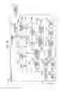 Fig. 30 - Image processing apparatus and method