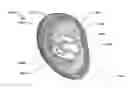 Fig. 01 - Attachment apparatus