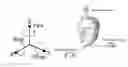Fig. 01 - Hearing aid device comprising a sensor member