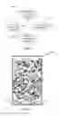Fig. 09 - Systems, devices, and methods for emergency responses and safety