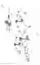 Fig. 02 - Phase-noise compensation reference signal configuration reporting and signaling