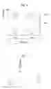 Fig. 07 - Method for transmitting device to device communication signal through unlicensed band in wireless communication system and apparatus therefor
