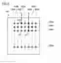 Fig. 06 - Control panel and method of replacing control panel