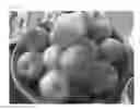 Fig. 02 - Apple tree named ‘MAIA11’