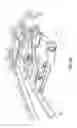 Fig. 16 - Control assembly for a walk-behind mower