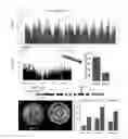 Fig. 01 - Targeted modification of maize roots to enhance abiotic stress tolerance