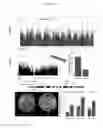 Fig. 03 - Targeted modification of maize roots to enhance abiotic stress tolerance