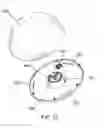 Fig. 14 - Laser Pet Toy and Feeder