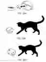 Fig. 23 - Laser Pet Toy and Feeder