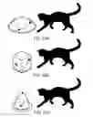 Fig. 24 - Laser Pet Toy and Feeder