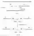 Fig. 07 - Methods and Compositions for Dag Mitigation