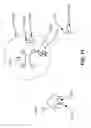 Fig. 12 - Systems and methods for walking pets