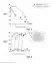 Fig. 03 - Method of maintaining ovaries of marine fish, method of adjusting culture solution, and method of producing eggs or fertilized eggs of marine fish