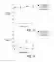 Fig. 08 - Method of maintaining ovaries of marine fish, method of adjusting culture solution, and method of producing eggs or fertilized eggs of marine fish