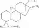 Fig. 19 - Steviol glycoside