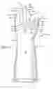 Fig. 02 - Protective device for use with a glove