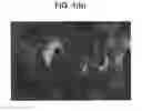 Fig. 03 - Shock Mitigating Materials and Methods Utilizing Spiral Shaped Elements