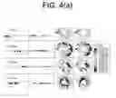 Fig. 07 - Shock Mitigating Materials and Methods Utilizing Spiral Shaped Elements