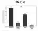 Fig. 13 - Shock Mitigating Materials and Methods Utilizing Spiral Shaped Elements