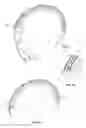 Fig. 05 - PROTECTIVE HELMET