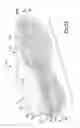 Fig. 07 - Particulate foam with other cushioning