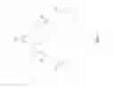 Fig. 02 - Visually-distinguishable paneled skirt