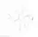 Fig. 05 - Visually-distinguishable paneled skirt
