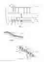 Fig. 02 - Devices, systems, and methods for repairing soft tissue and attaching soft tissue to bone