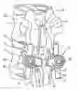 Fig. 01 - Vertebral fixation device
