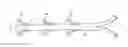 Fig. 01 - Implant and method for long bone fixation
