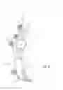 Fig. 04 - Animal splint