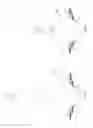 Fig. 02 - Switchable lens devices, systems, and related methods