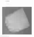 Fig. 01 - Cartilage mosaic compositions and methods