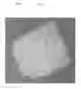 Fig. 13 - Cartilage mosaic compositions and methods