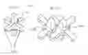Fig. 18 - Cartilage mosaic compositions and methods