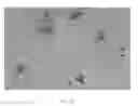 Fig. 23 - Cartilage mosaic compositions and methods