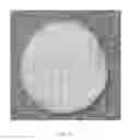 Fig. 25 - Cartilage mosaic compositions and methods