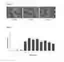 Fig. 02 - Microcapsules with high deposition on surfaces