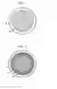 Fig. 02 - Anti-reflective coating on oxide particles for sunscreen applications