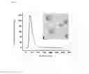 Fig. 08 - INTRACELLULAR DELIVERY SYSTEM AND METHODS