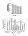 Fig. 08 - Use of CCL2 to inhibit abnormal uterine bleeding