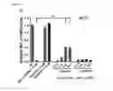Fig. 09 - Amphiphilic nanoparticles for delivery of CRISPR based therapy