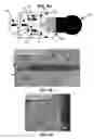 Fig. 07 - CONTROLLABLE SELF-ANNEALING MICROGEL PARTICLES FOR BIOMEDICAL APPLICATIONS