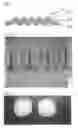 Fig. 02 - Microneedle and method for producing same