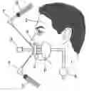Fig. 01 - DEVICE FOR IMMOBILIZING OXYGEN ADMINISTRATION TUBES IN ANESTHETIZED PATIENTS