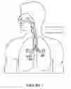 Fig. 02 - Apparatus for use in a respiratory support system