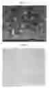 Fig. 02 - POLYCRYSTALLINE TUNGSTEN COMPACT, TUNGSTEN ALLOY COMPACT, AND METHOD OF PRODUCING SAME